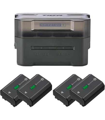 Amazon.com : 2-Pack Sony NP-FZ100 Battery for Sony Alpha a1 II, a1